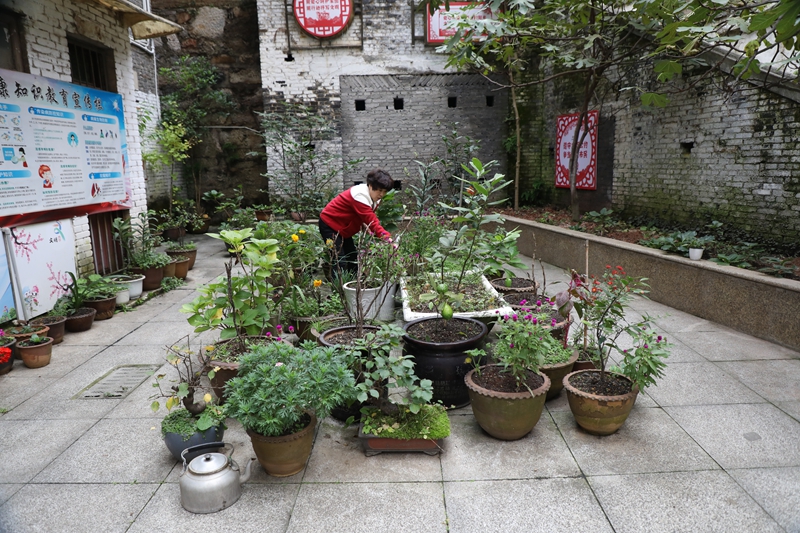 七星關區洪山街道洪山社區老舊小區改造后環境干淨整潔，居民正在打理自家院壩花園。邱夢如攝