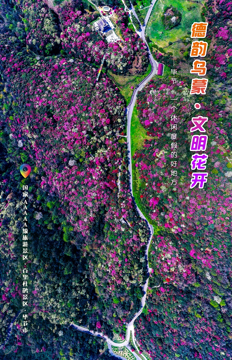 發旅游：一周一圖 貴州畢節：國家AAAAA級旅游景區·百裡杜鵑景區·畢節市 畢節市委宣傳部供圖.jpg