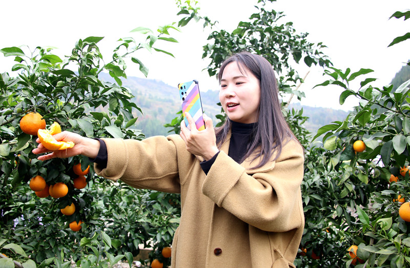 直播带货现场。