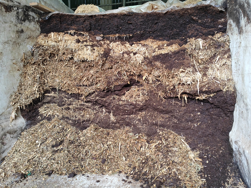 酒糟(苏畅莉 摄).jpg