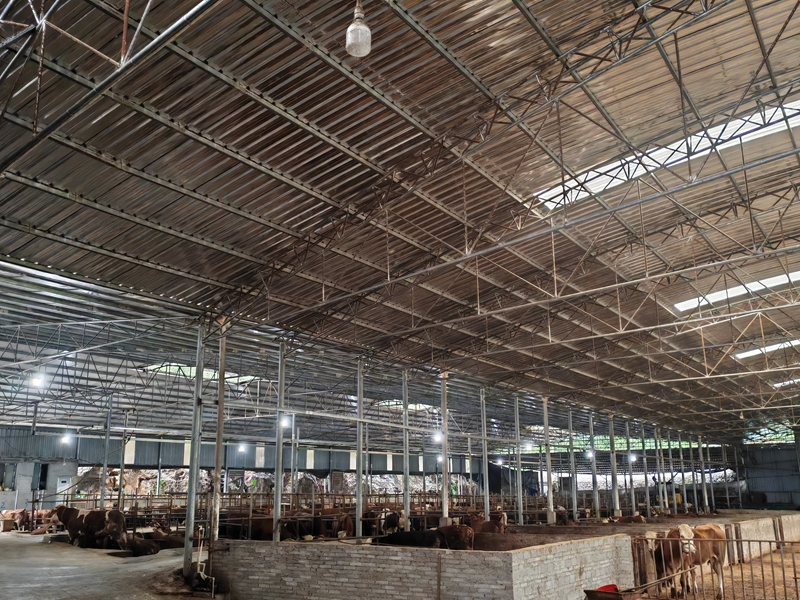 养殖场(苏畅莉 摄).jpg