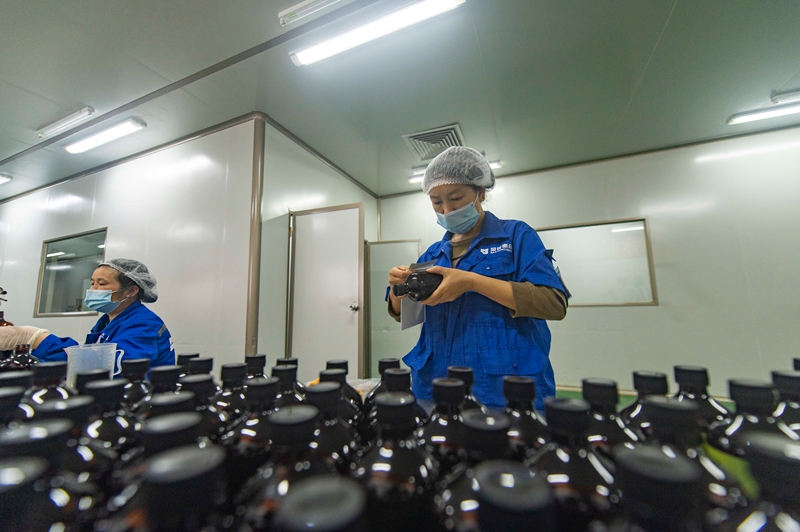 11月11日，在贵州省从江县美娥工业园区的一家药企，工人在生产车间赶制订单。