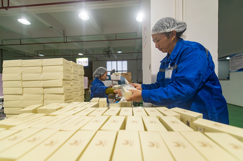 11月11日，在贵州省从江县美娥工业园区的一家药企，工人在生产车间赶制订单。