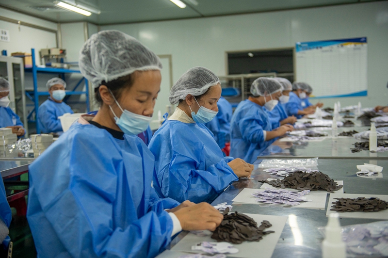 11月11日，在贵州省从江县美娥工业园区的一家药企，工人在生产车间赶制订单。