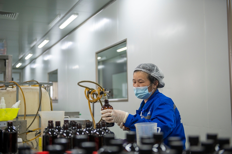 11月11日，在贵州省从江县美娥工业园区的一家药企，工人在生产车间赶制订单。