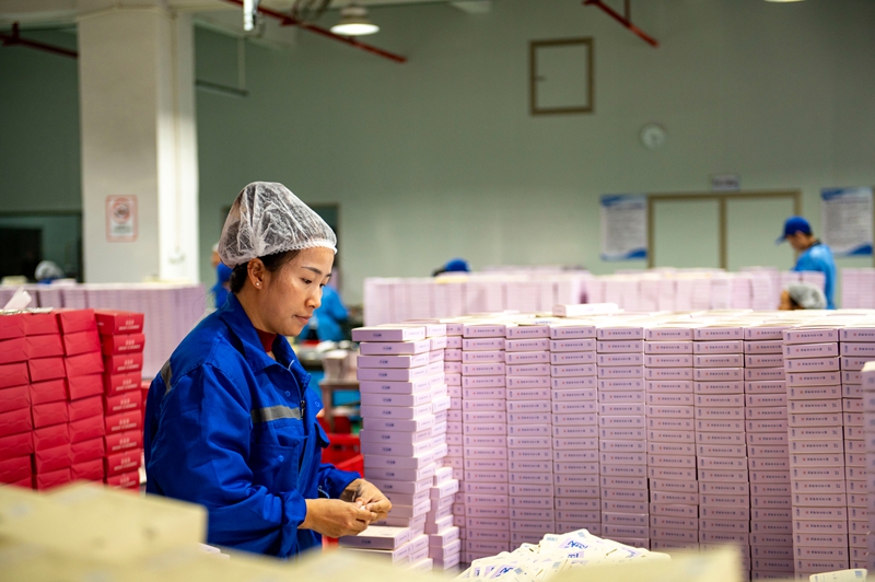 11月11日，在贵州省从江县美娥工业园区的一家药企，工人在生产车间赶制订单。