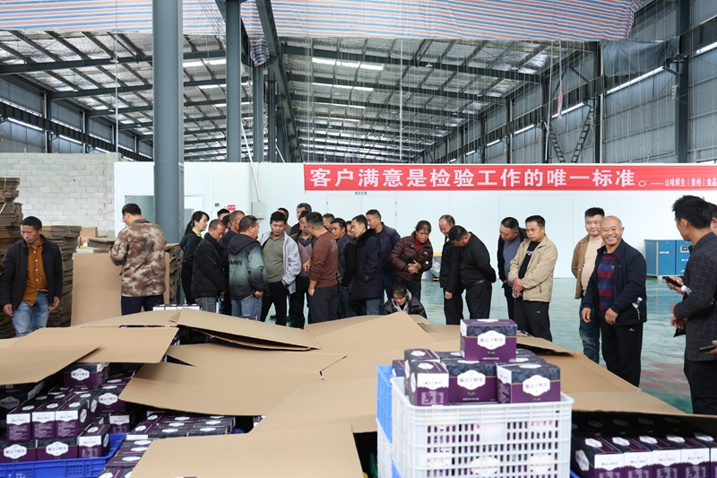在边阳镇杨梅加工厂观摩.jpg
