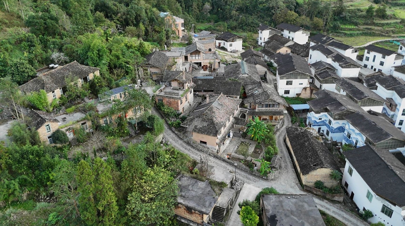 1 圖為洪江村大景.JPG
