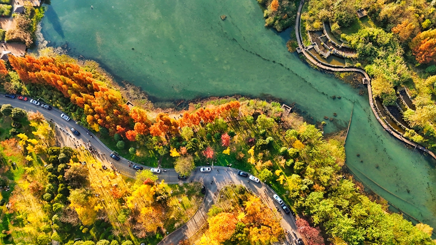 六盘水明湖国家湿地公园一角。