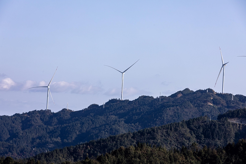 大亭风力发电一景。
