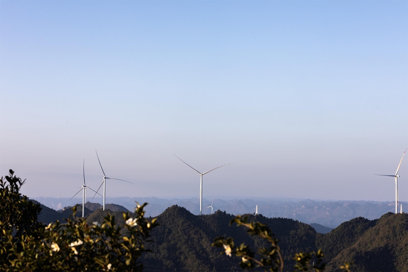 大亭风力发电一景。