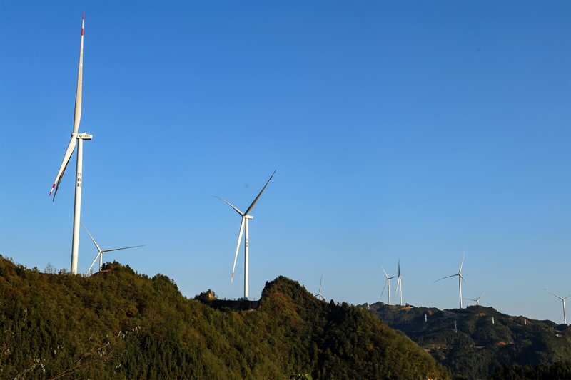 大亭风力发电一景。
