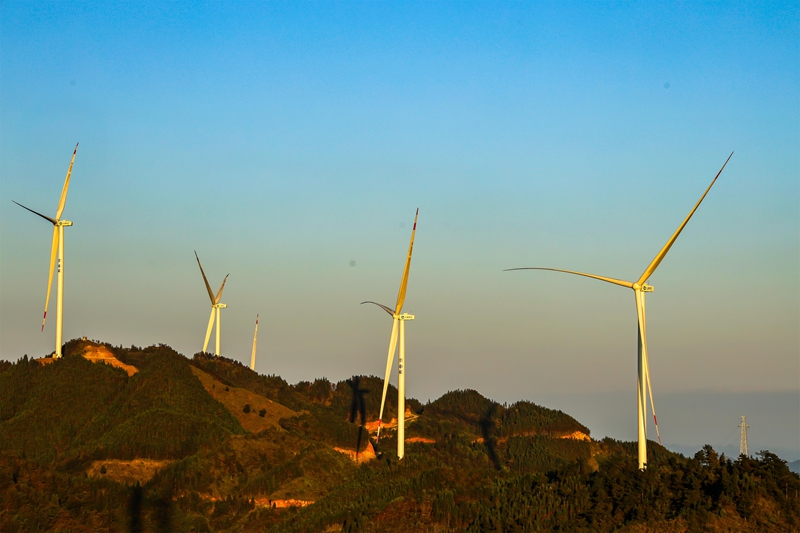 大亭风力发电一景。