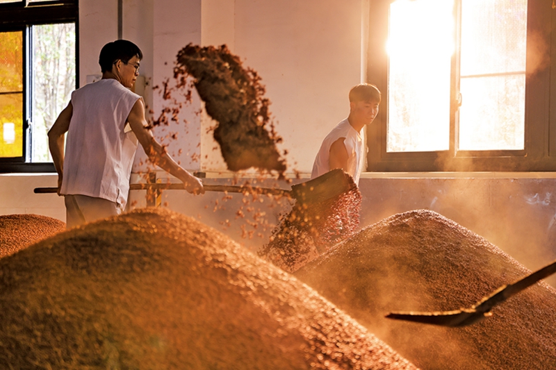 习水白酒企业生产车间热闹的生产场景。