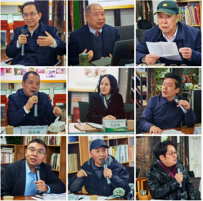 4、主题发言环节，专家学者各抒己见。陆青剑摄