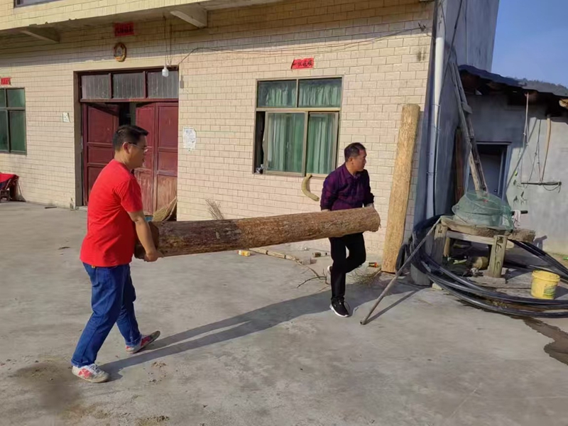 松桃鸡爪帮扶干部则主动上门,帮助年老、行动不便的家庭整理庭院、清扫垃圾。