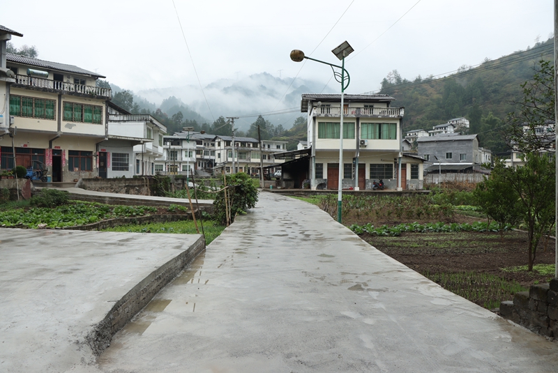 2、新站镇旧城村干净的整洁道路。