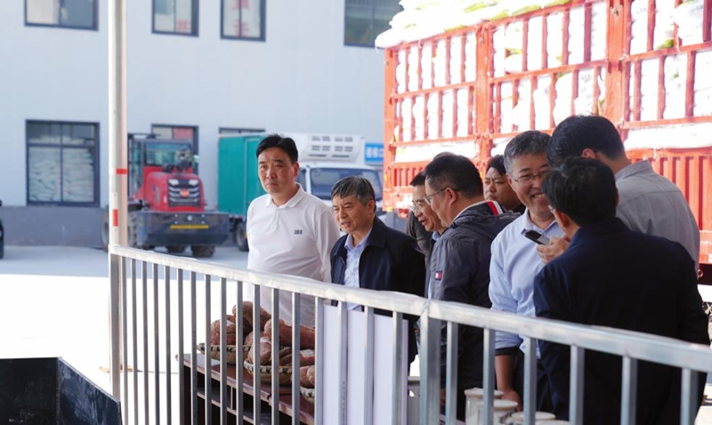 调研现场。贵州大学供图