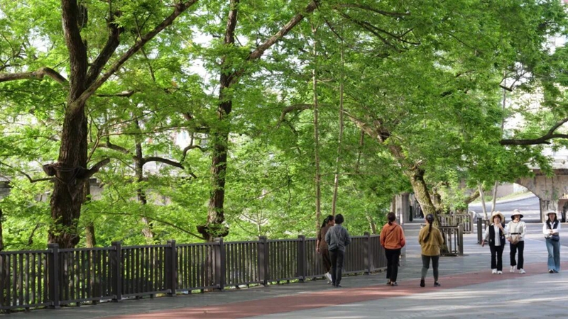 市民在公园散步。黎福慧摄