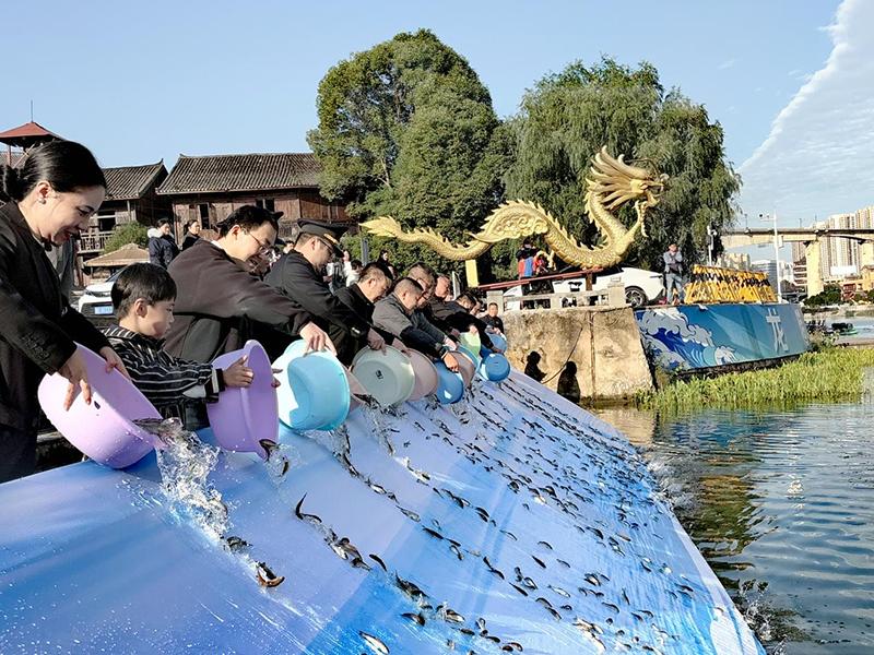 77萬余尾優質魚苗順利投入錦江河。