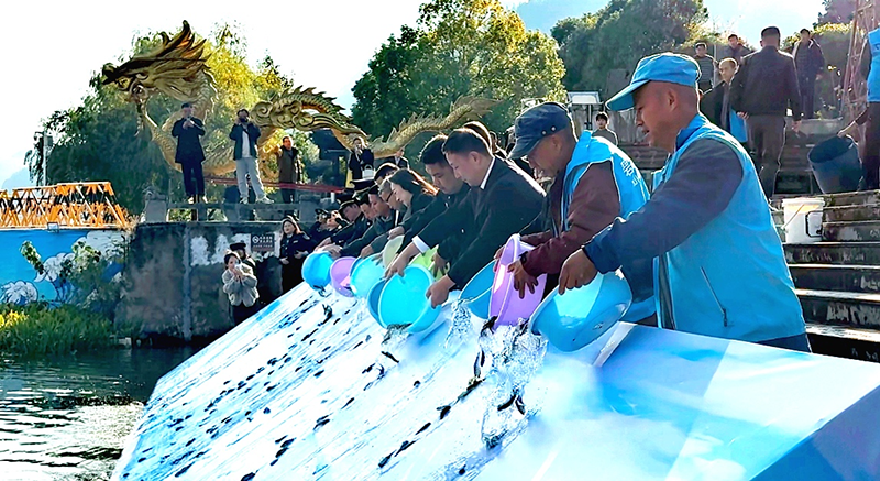 77萬余尾優質魚苗順利投入錦江河。