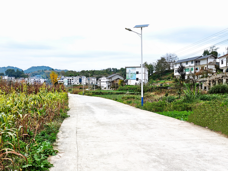 官仓镇朱天村,新修的步道在田间蜿蜒,夏季常有避暑的游客来此散步。王琨荣摄