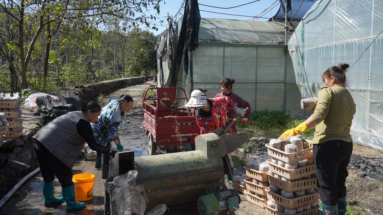 村民工作現場。