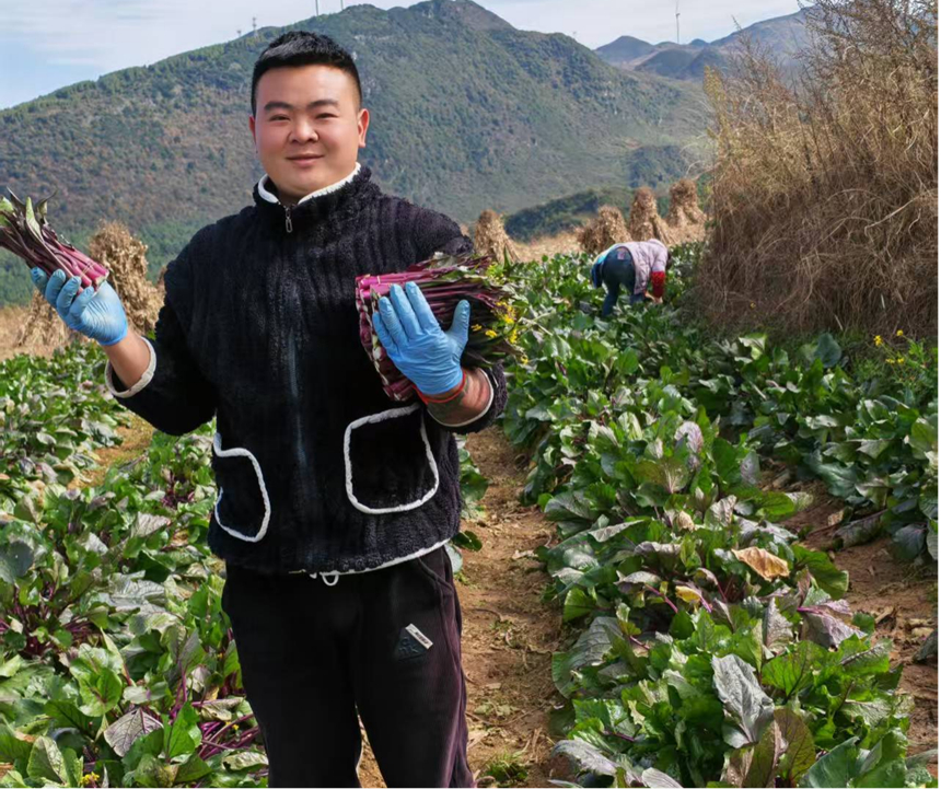 雙坪鄉雙坪村煙農唐靜。