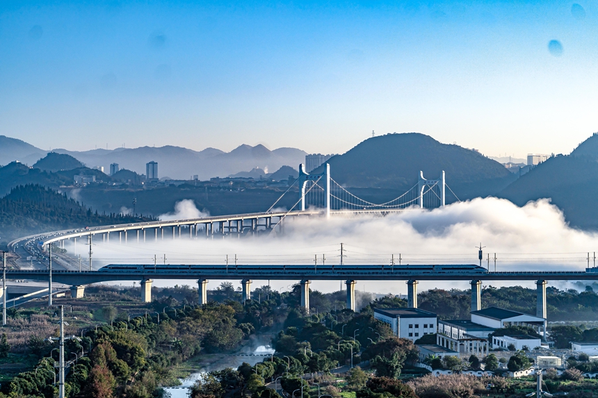 列车与金州大桥同框。龙建睿摄