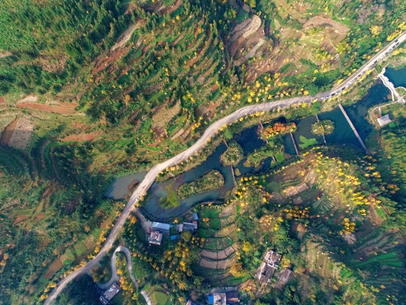 1 图为新接养S317线妥乐路段  梁 琴  摄