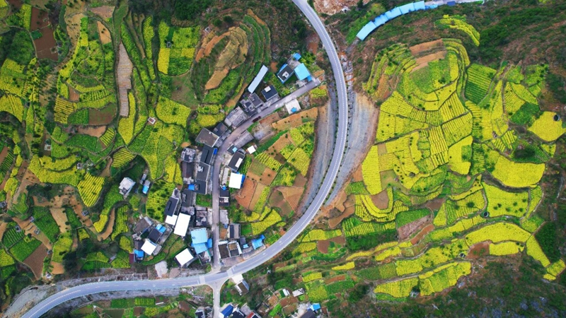 2 圖為G352線K380至K381路段。田家豪  攝