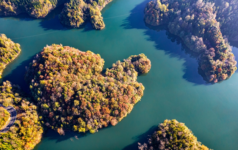 2025年11月28日拍攝的貴州省畢節市百裡杜鵑管理區境內的百裡杜鵑湖景區（無人機照片）。