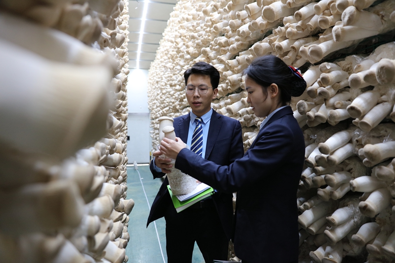 2、客戶經理調研現場。