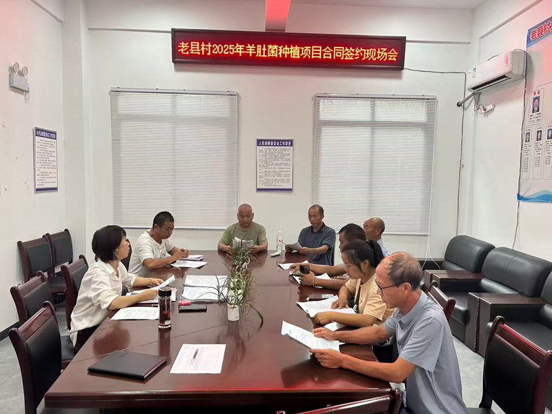 施秉縣馬號鎮老縣村羊肚菌合同簽約會。