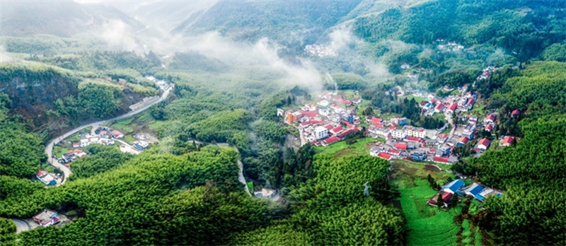 盤州市大洞竹海。肖本祥攝