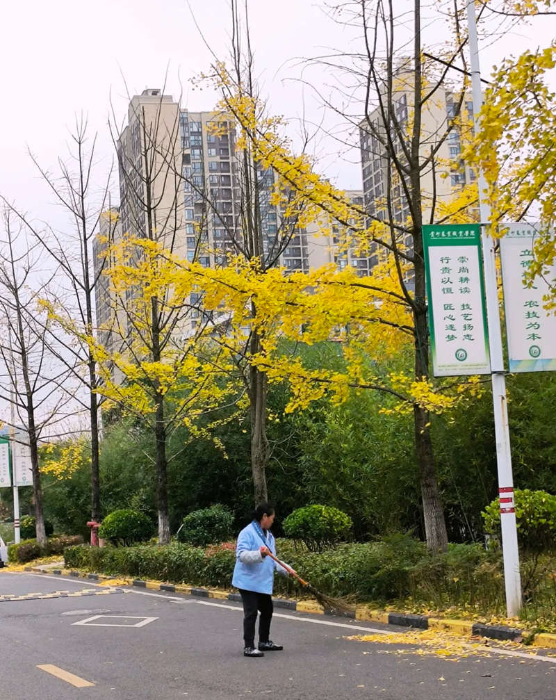 每一個人都在為農職院的發展做出貢獻。潘燕攝