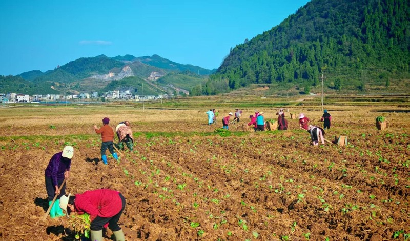 鬆桃縣普覺鎮黨建引領破解民生保障難題。