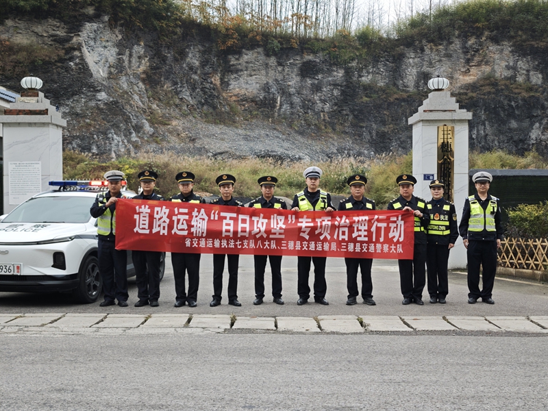 多部门联合开展专项治理行动。