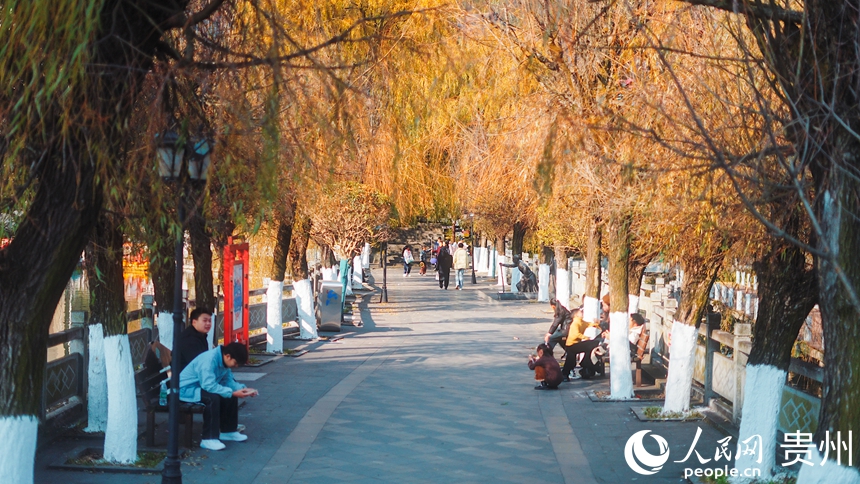 暖阳下的凤池园公园一角。人民网记者 涂敏摄