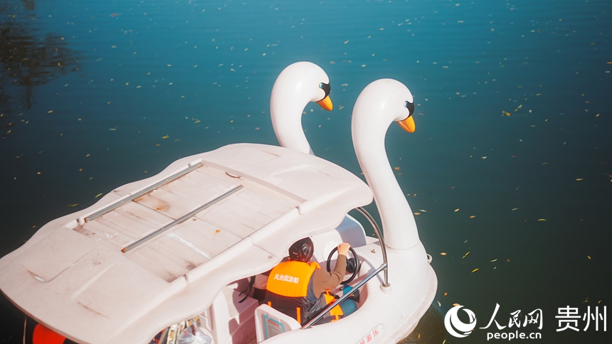 市民在公园内泛舟。人民网记者 涂敏摄