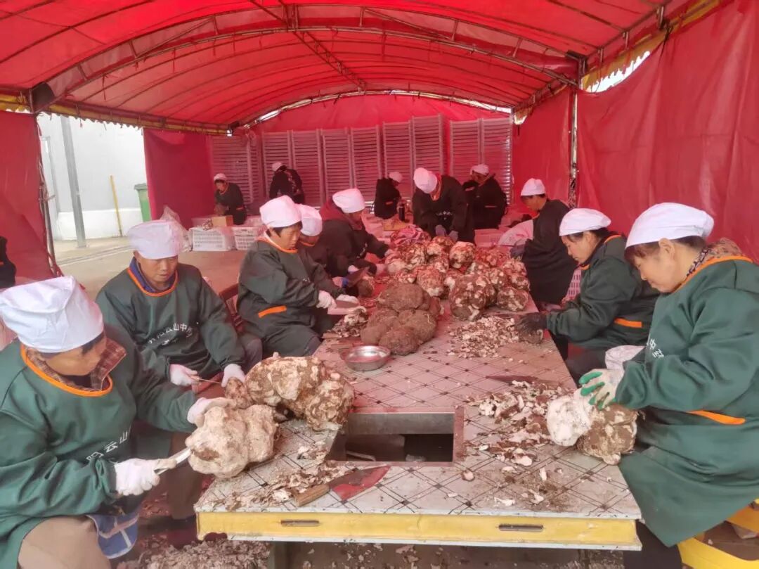 圖為：中藥才生產車間