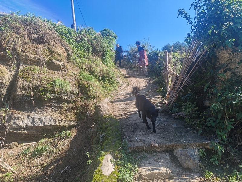 1 图为改造前的道路