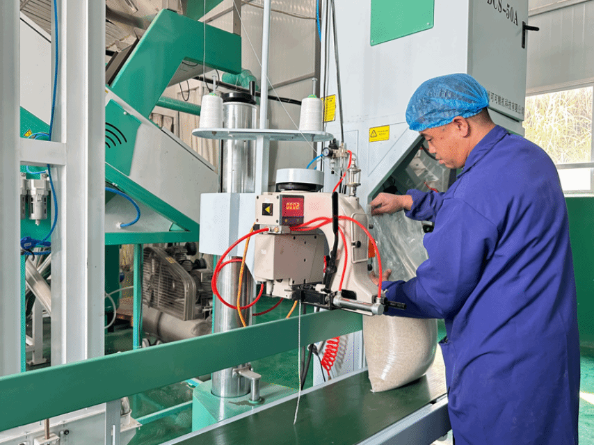 圖為：毛栗庄村大米加工廠車間