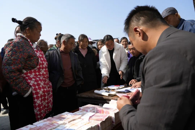 鬆桃蕉溪村：羊肚菌產業撐起群眾致富傘。