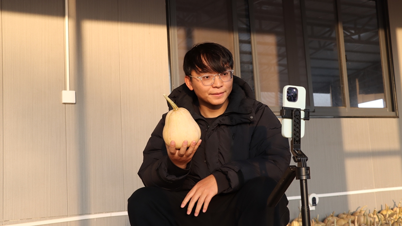 贵州独山田垄披绿果蔬香，硕果盈枝振兴忙。