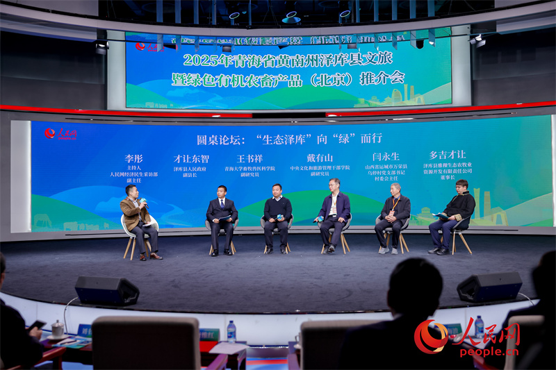 圆桌论坛现场。人民网 马可欣摄