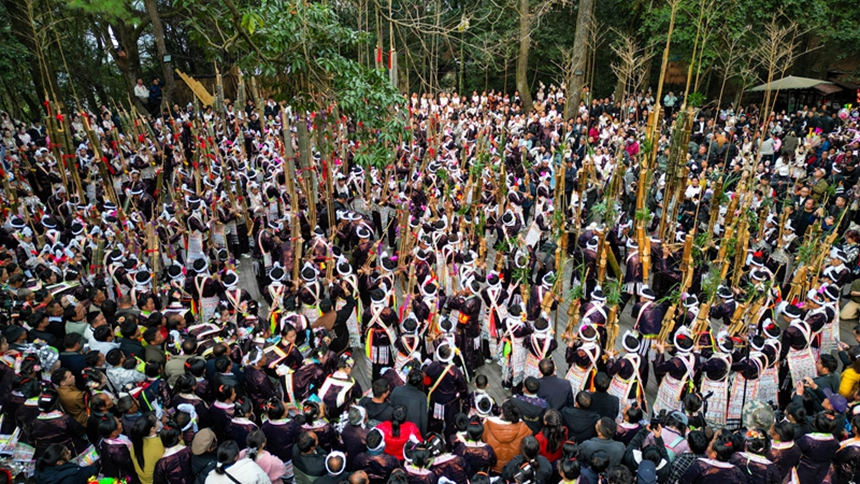 岜沙苗寨芦笙节。