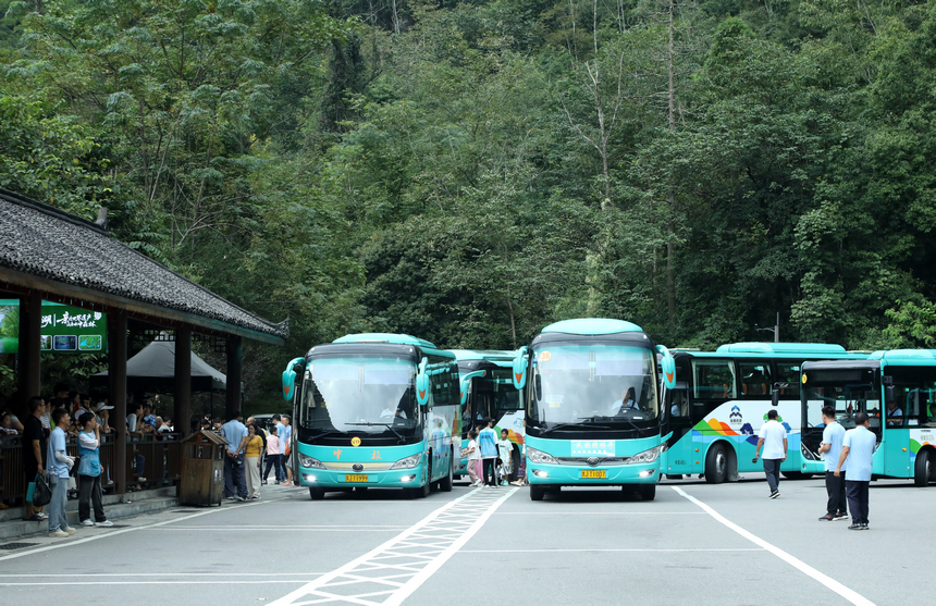 景区观光车高效运转。