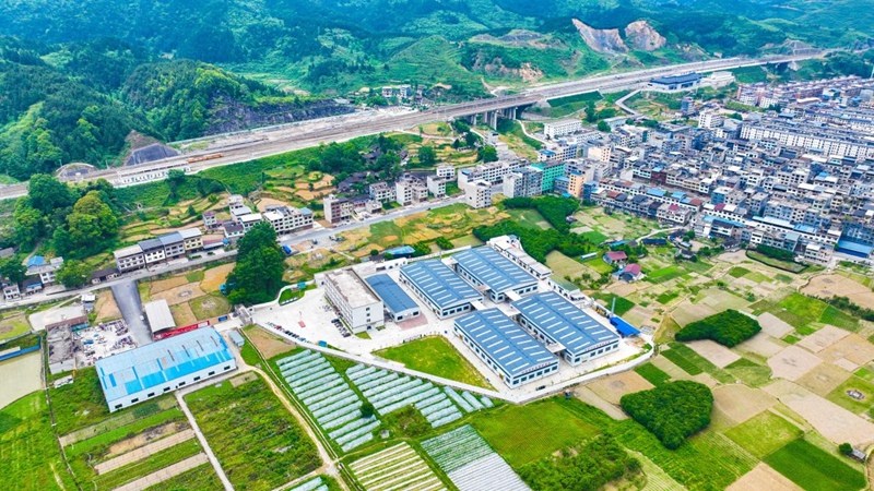 分紅113.32萬余元 強村富民工坊讓113個村集體當股東。