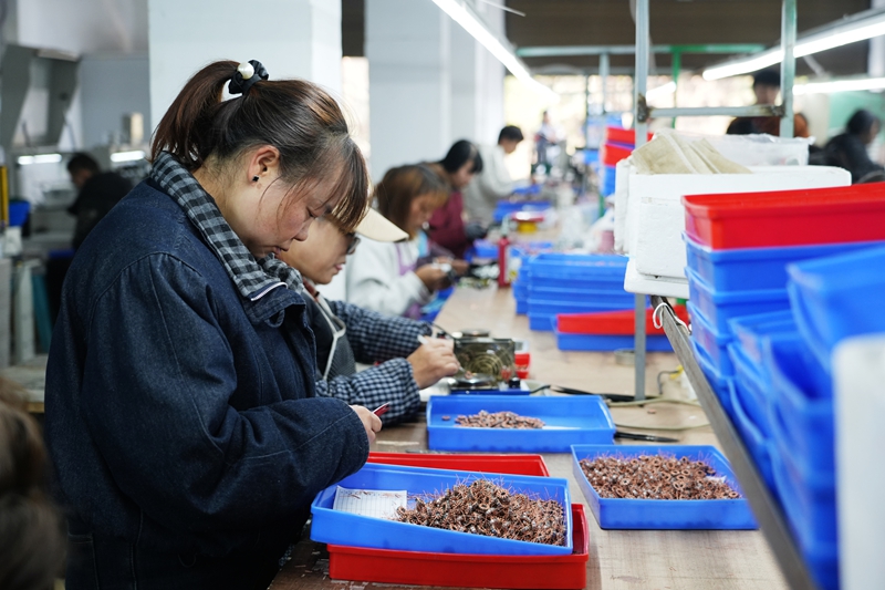 工人正在小马达流水线上作业。王丽红摄